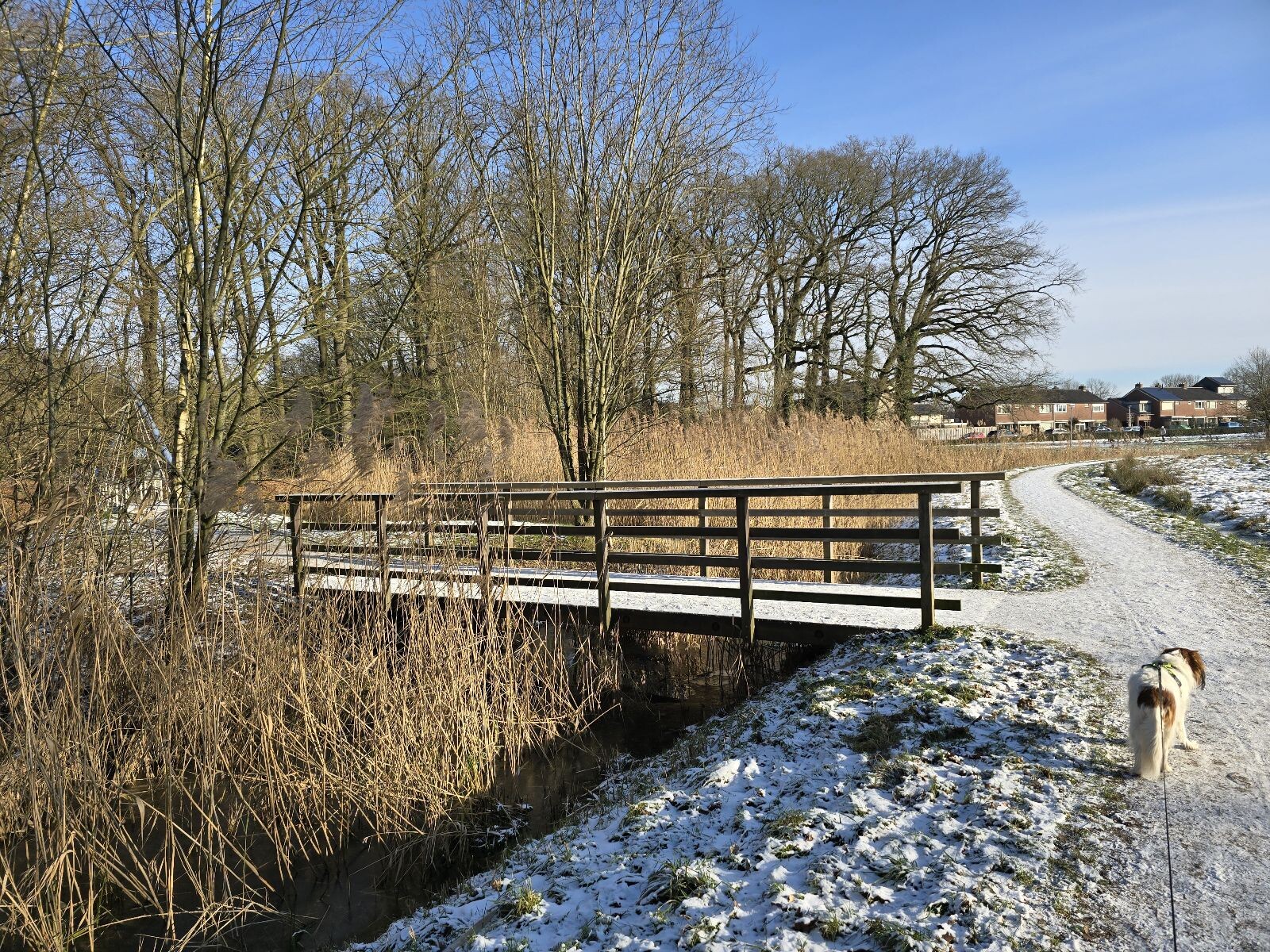 Beeklustpark - Geel