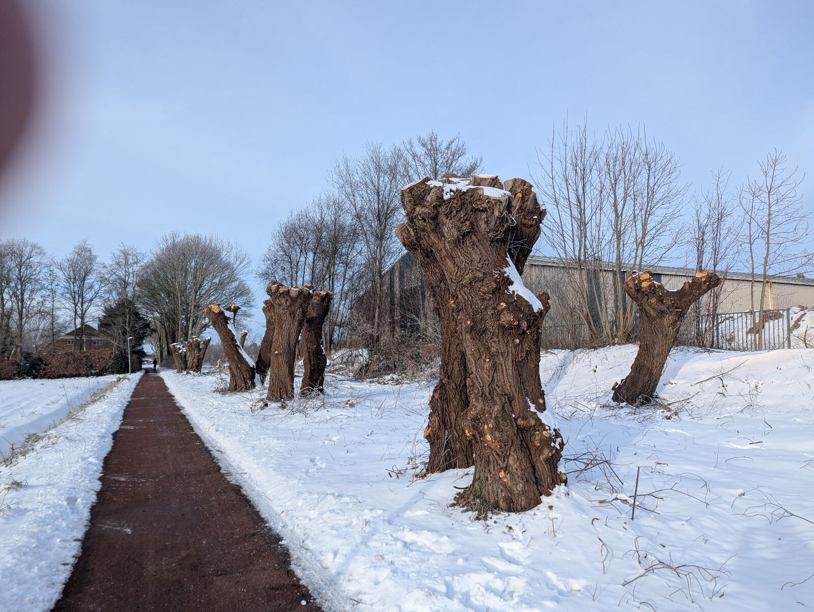 Winterwandeling retour