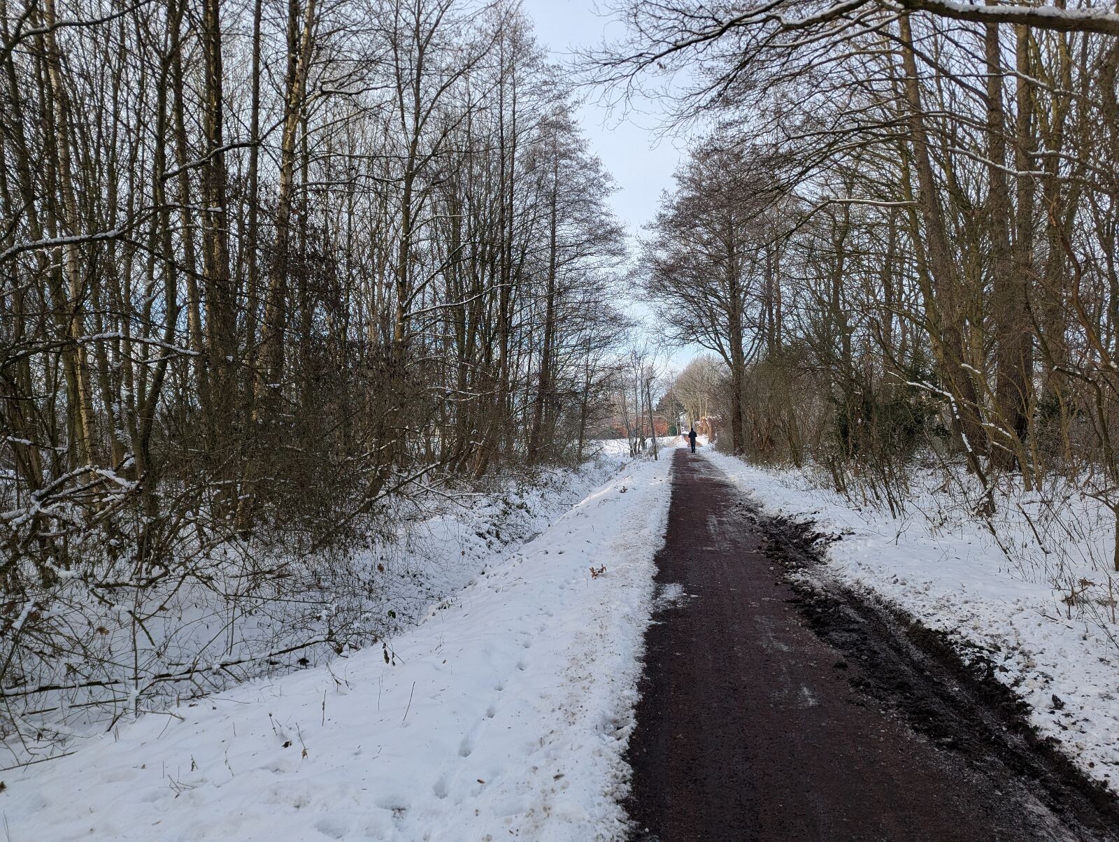 Winterwandeling retour