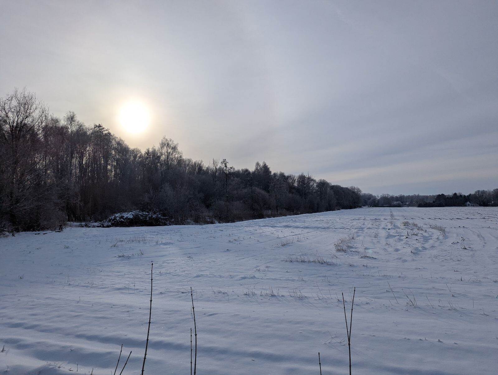 Winterwandeling retour