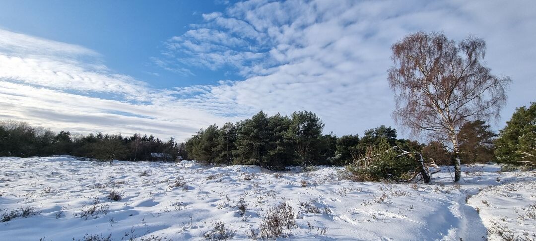 Zuidlaren - Rolde · Pieterpad etappe 4