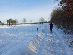 Ruinen - Holtingerveld · Drenthepad etappe 2