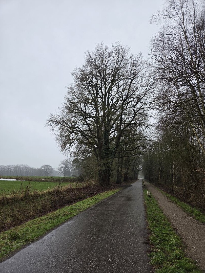 Koekoesbrug - Enschede · Trekvogelpad etappe 24