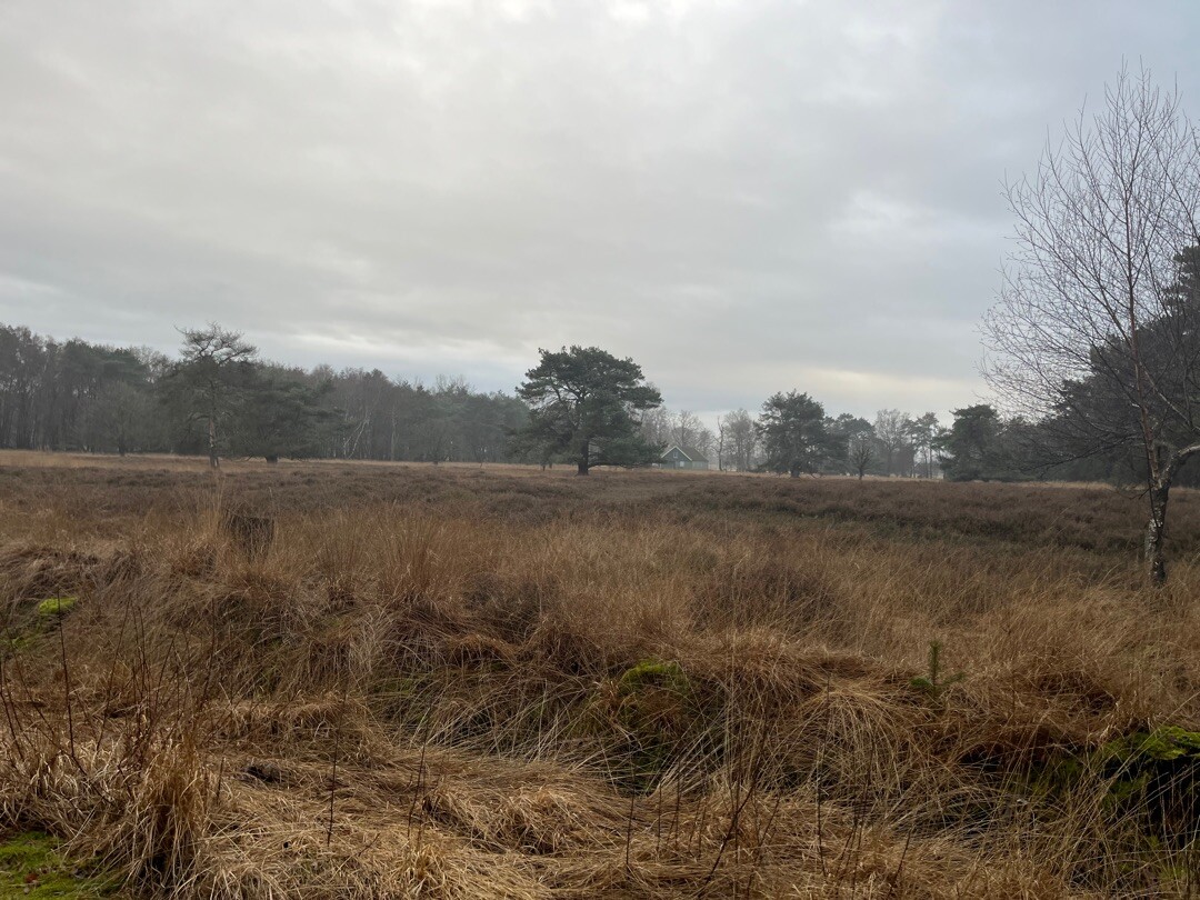 Haaksbergen, Buurserstraat - Zwillbrock · Noaberpad etappe 15