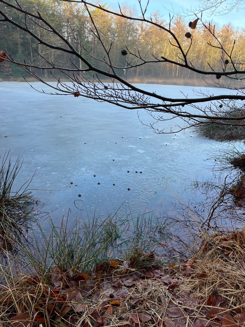 Jipsinghuizen - Ter Apel · Noaberpad etappe 5