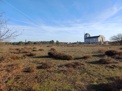 Wandelroute Heidewandeling