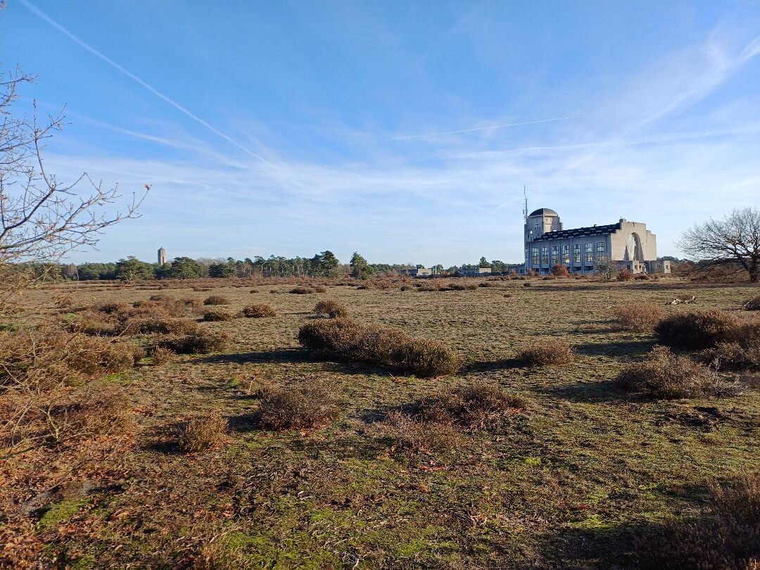 Wandelroute Heidewandeling