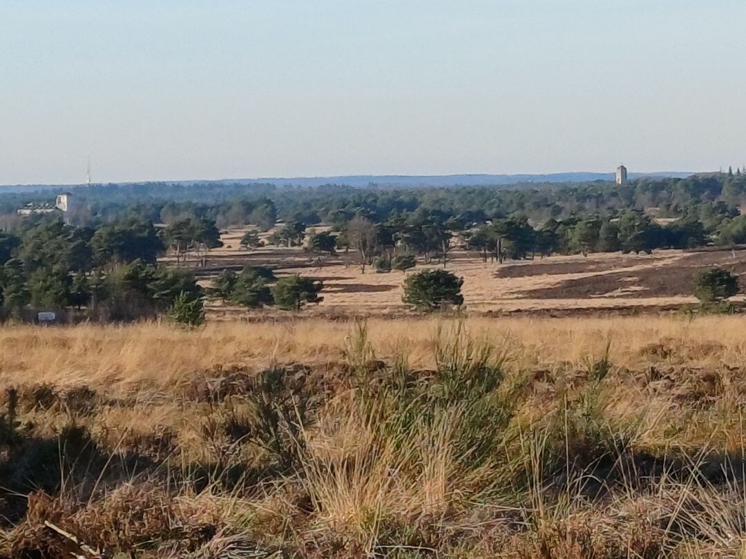 Wandelroute Heidewandeling