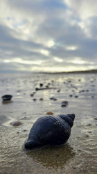De Slufter - De Wezenputten · Texelpad etappe 2