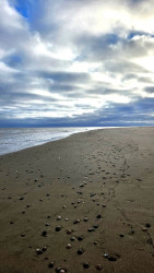 De Slufter - De Wezenputten · Texelpad etappe 2