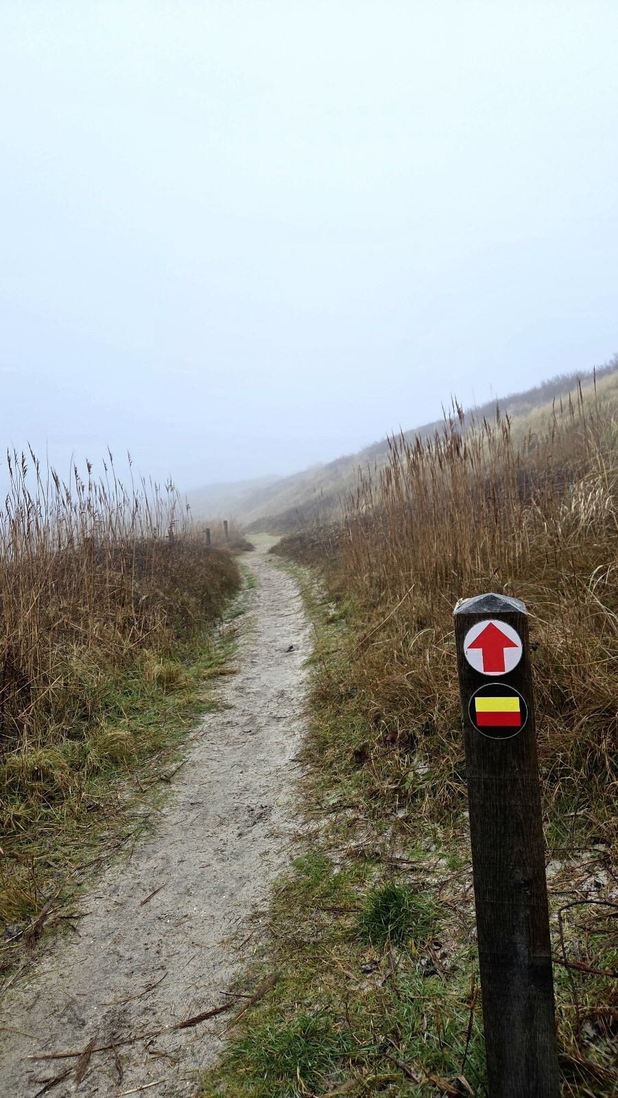 Ommetje Eierlandse Gat (rood)