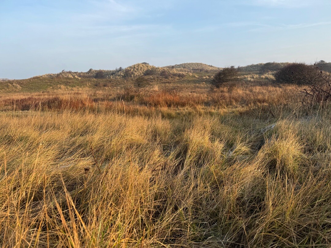 Wijk aan Zee - Egmond aan Zee · Nederlands Kustpad 2 etappe 8