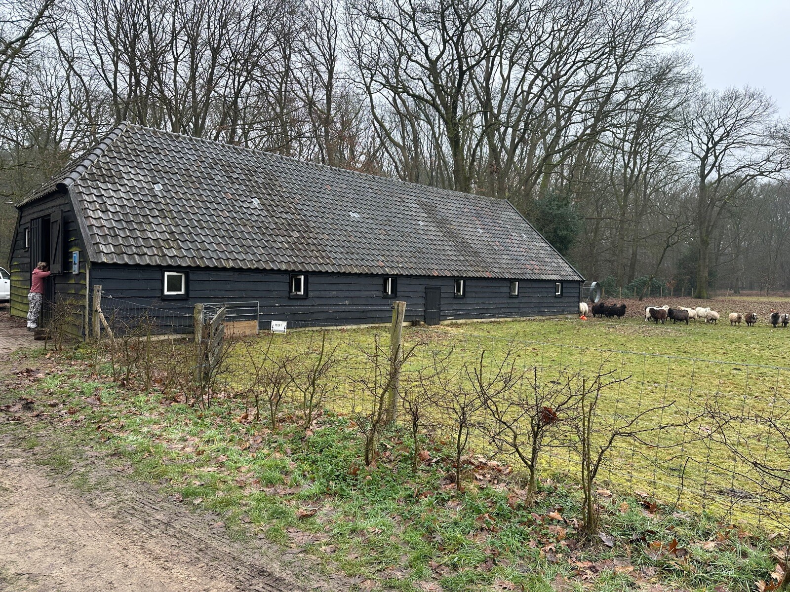Roots-wandeling 'Een echo uit de oertijd' – Nationaal Park Sallandse Heuvelrug