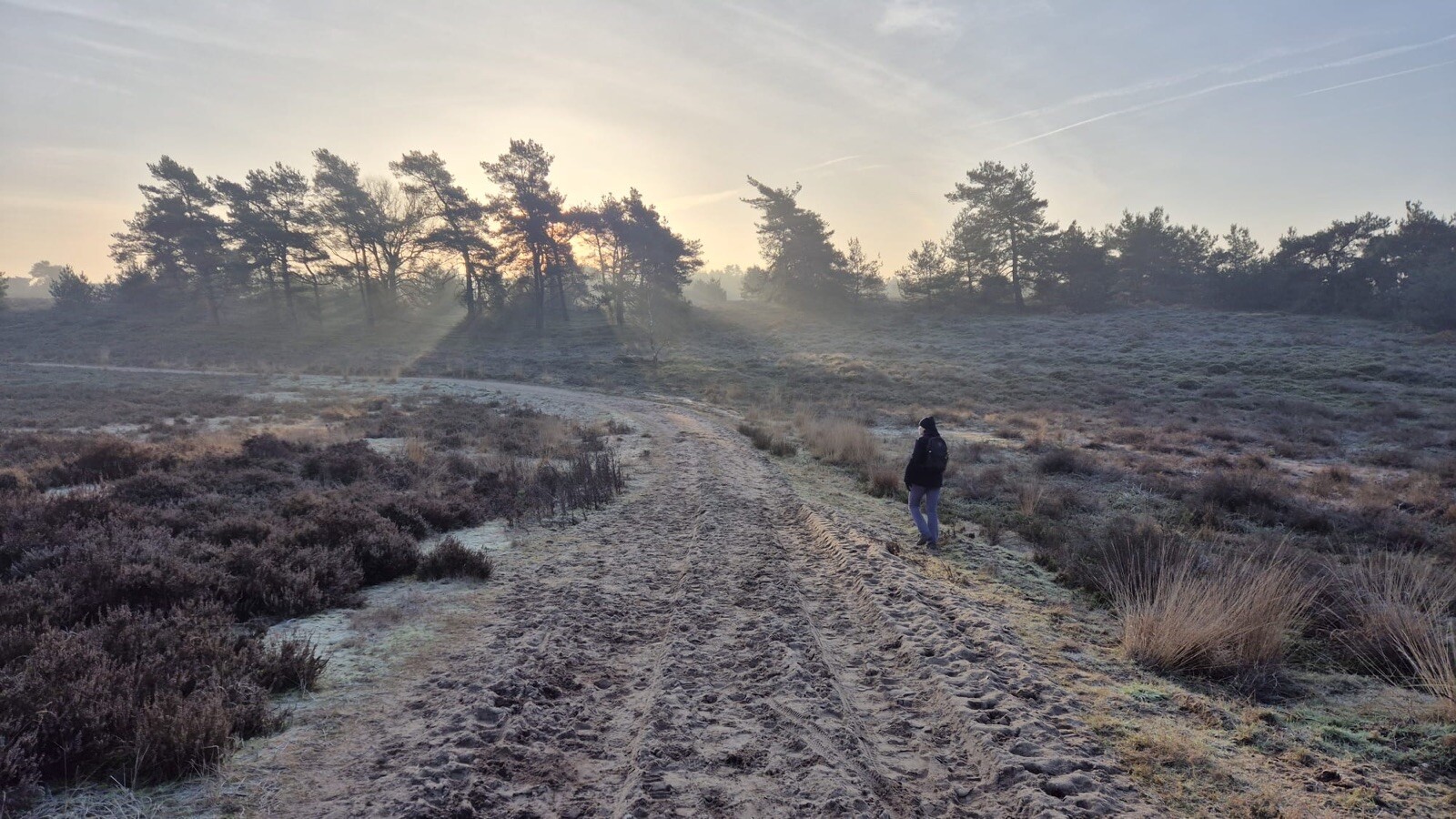Roots-wandeling 'Een echo uit de oertijd' – Nationaal Park Sallandse Heuvelrug
