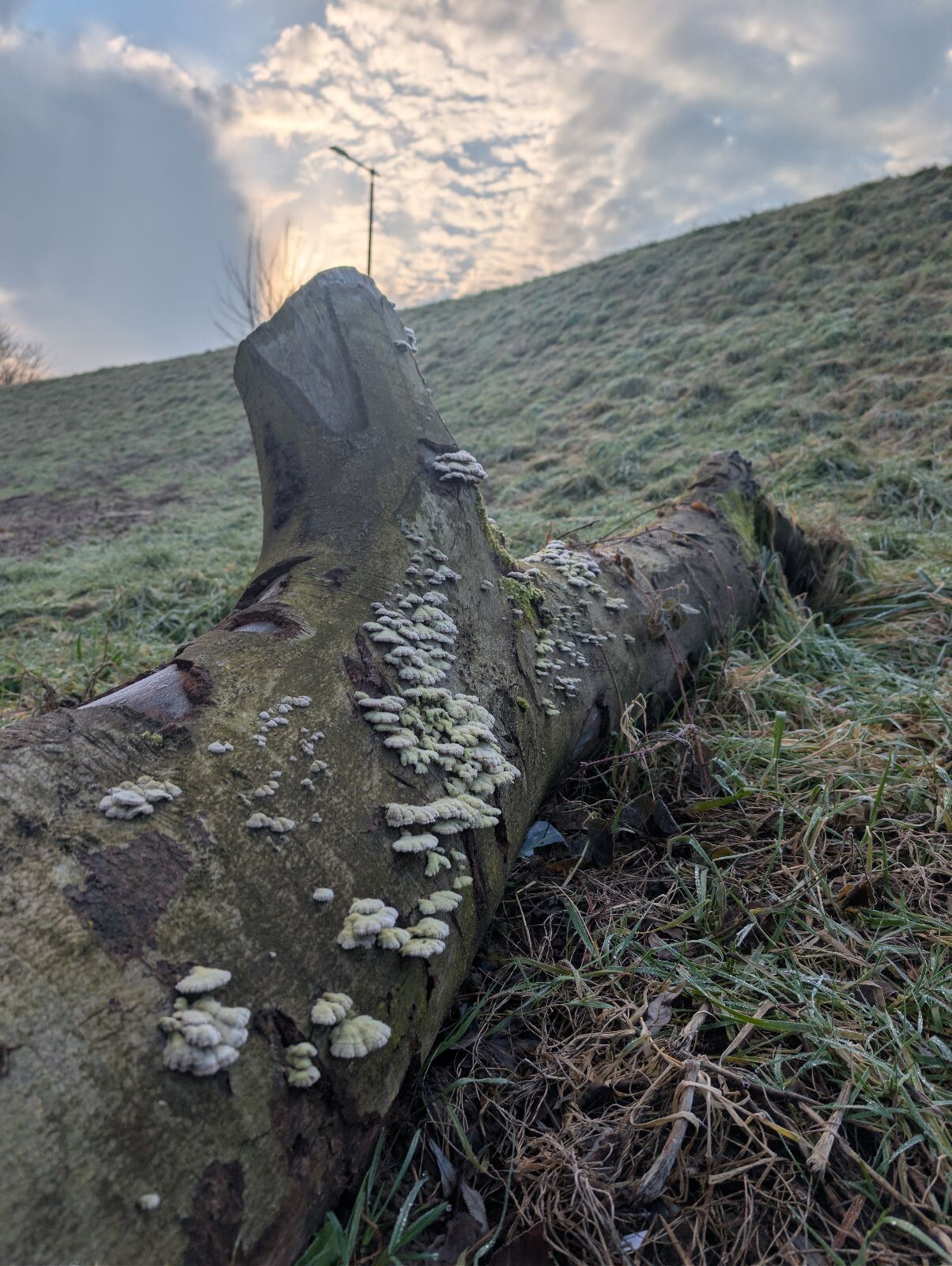 Klompenpad Holthuyserpad