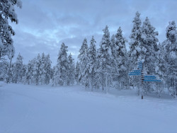 Prachtige winterwonderland route