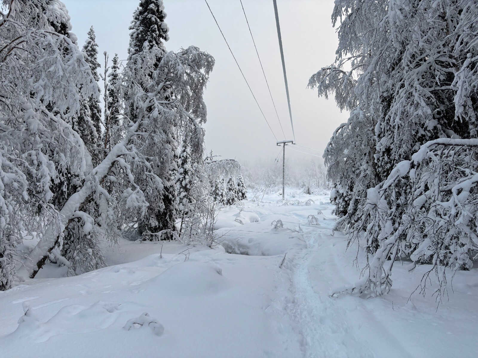 Prachtige winterwonderland route