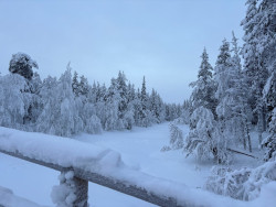 Prachtige winterwonderland route