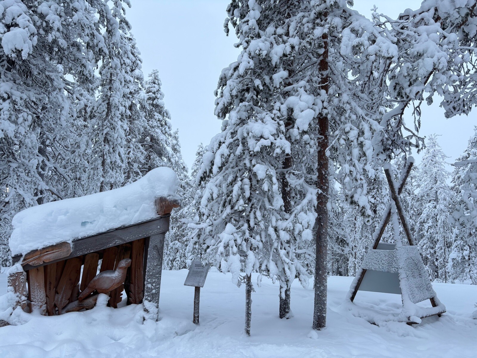 Prachtige winterwonderland route