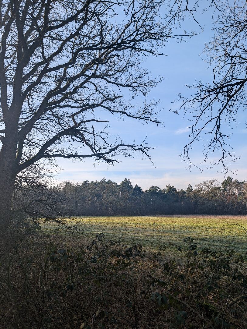 Kanonsbergroute Maashorst