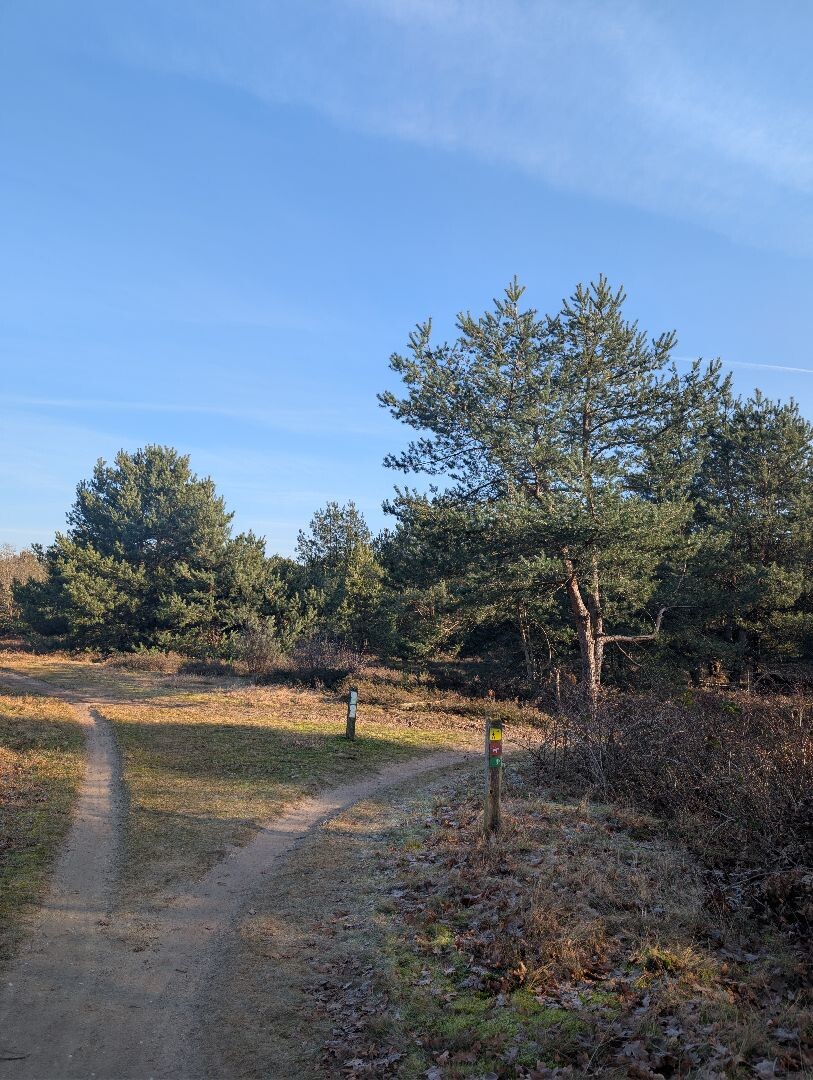 Kanonsbergroute Maashorst