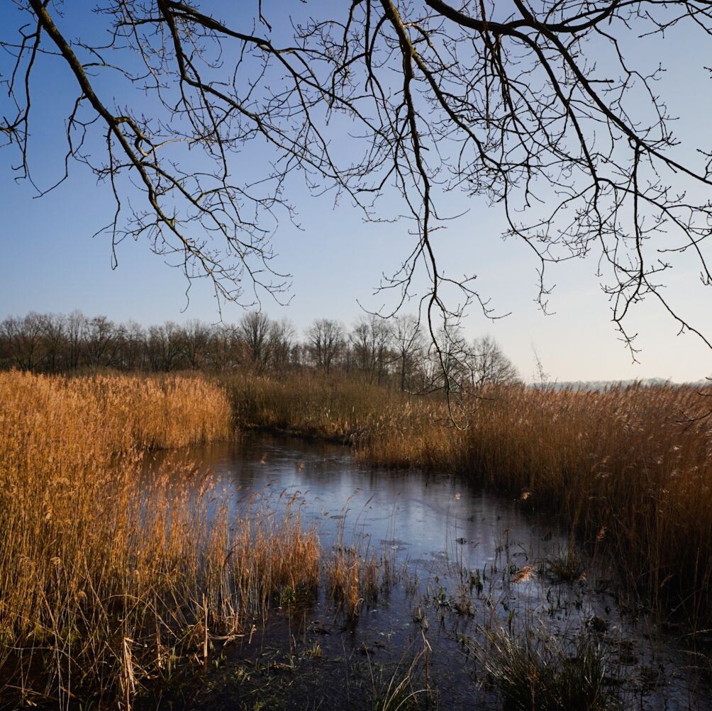 Wandelroute Veentjesroute