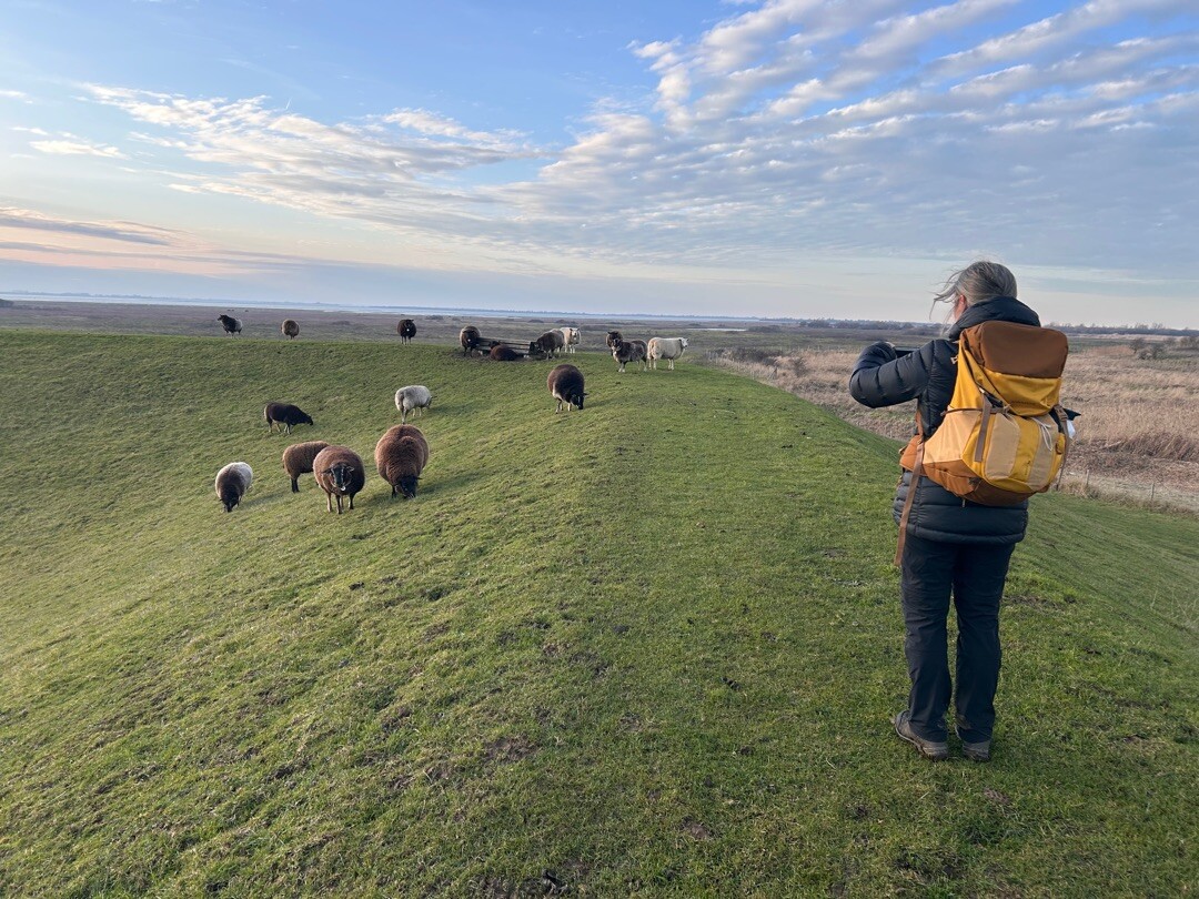Goedereede - Battenoord · GR5 etappe 4