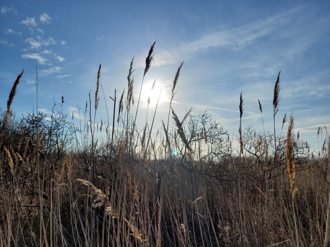 Goedereede - Herkingen · Nederlands Kustpad 1 etappe 13