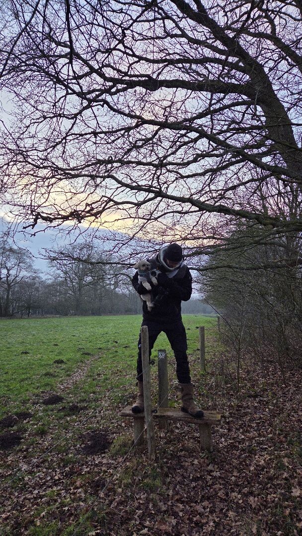 WandelWeb Route - Klinkenberg