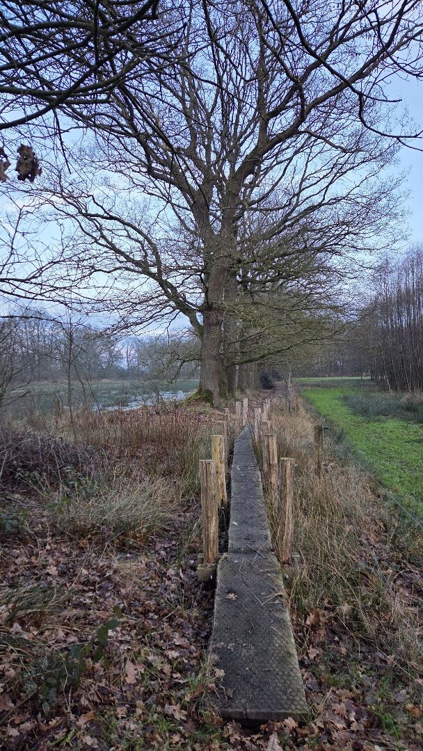 WandelWeb Route - Klinkenberg