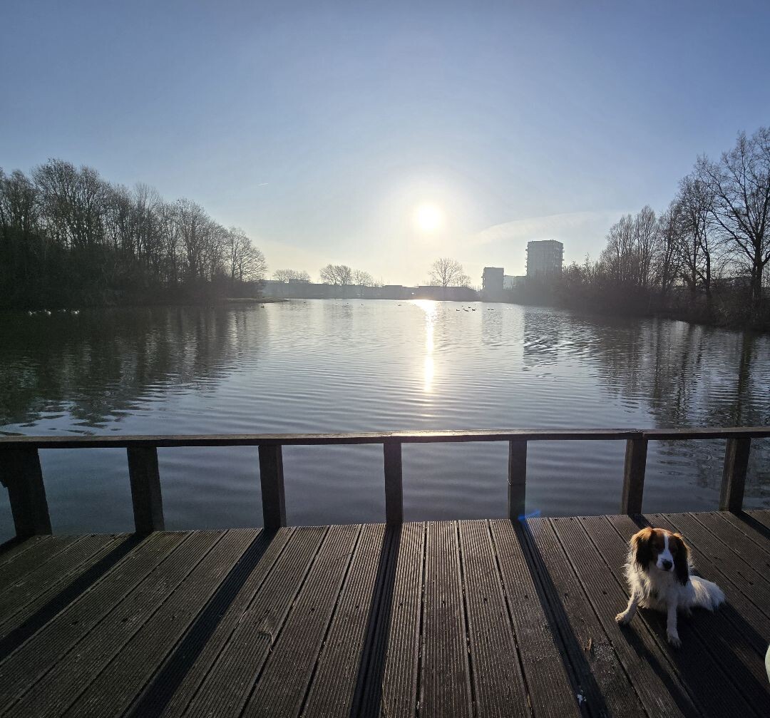 Geocaching in het Wilhelminapark Rijswijk