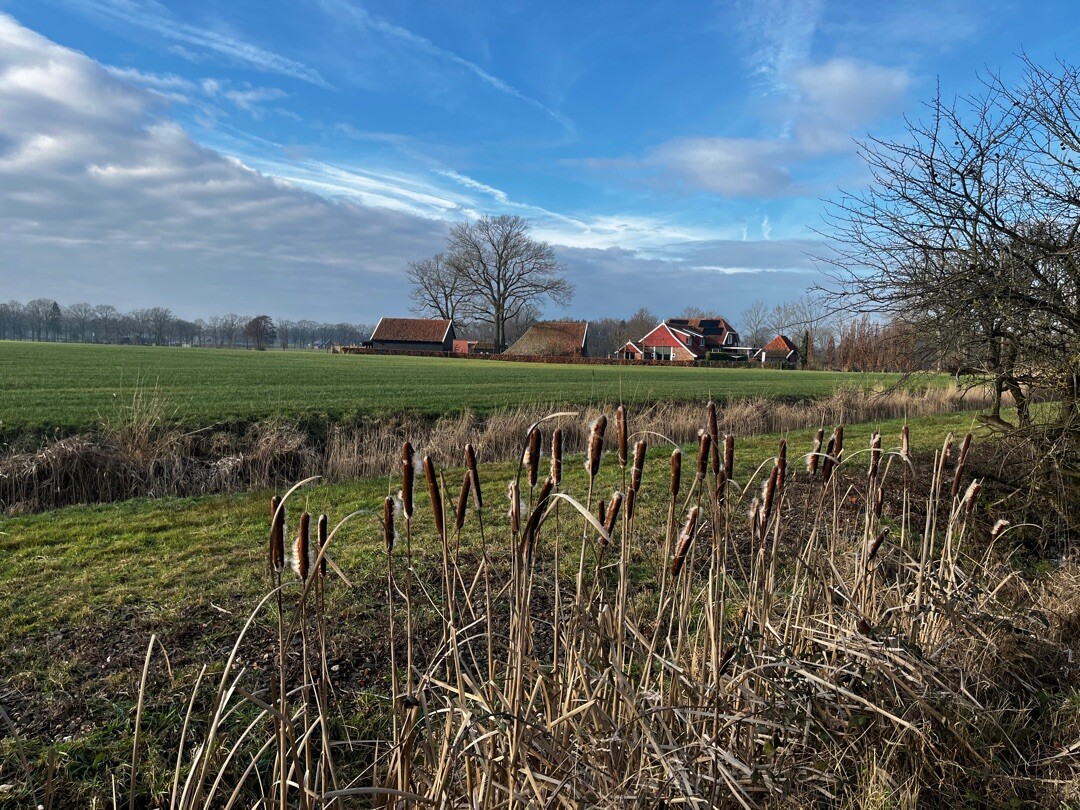 Wooldse Bossen en Bekendelle