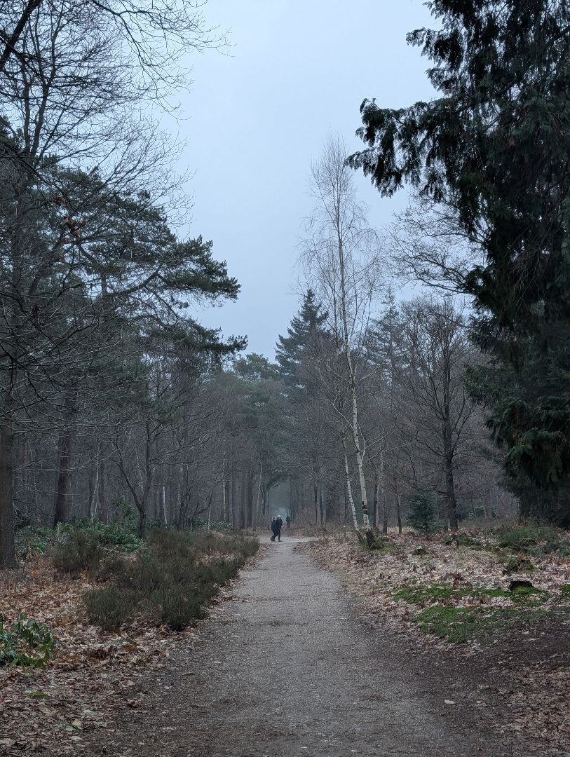 Heumensoord - Bos en Heideroute