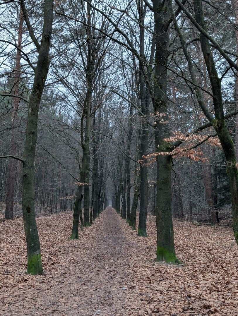 Heumensoord - Bos en Heideroute