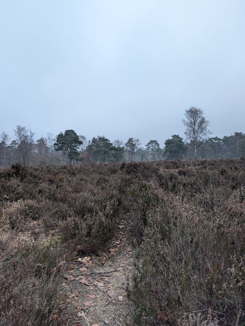 Hardlooproute Heumensoord 10 km