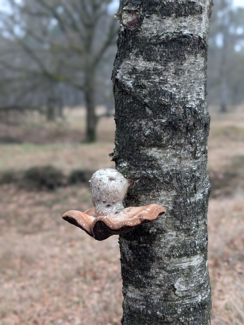 Hardlooproute Heumensoord 10 km