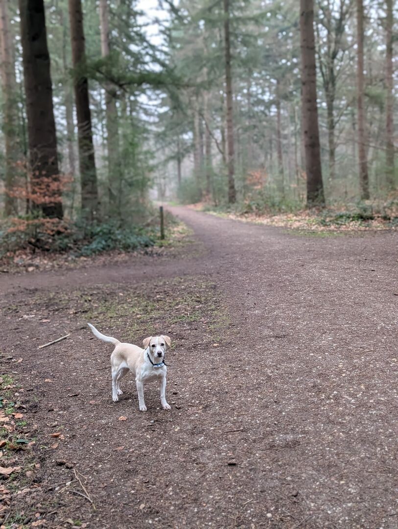 Familiepad Heumensoord