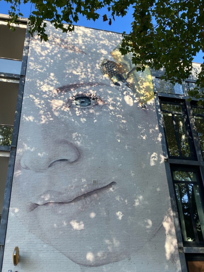 Wemeldinge - Goes · Oosterscheldepad etappe 16