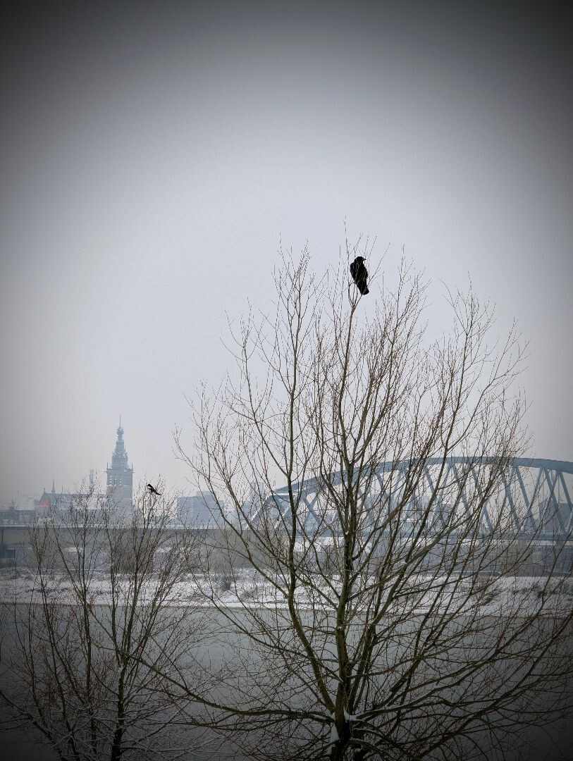 Rondje struinen in de sneeuw