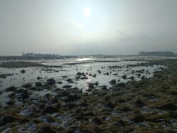 De Cocksdorp - De Waal · Noord-Hollandpad etappe 1