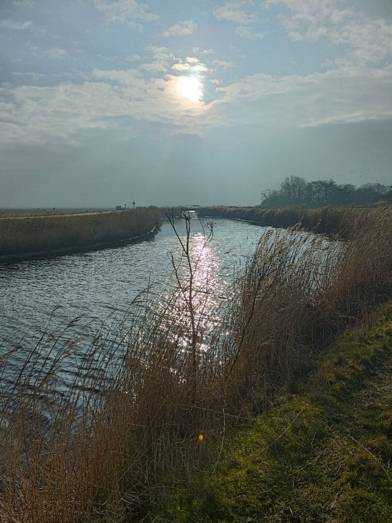 De Cocksdorp - De Waal · Noord-Hollandpad etappe 1