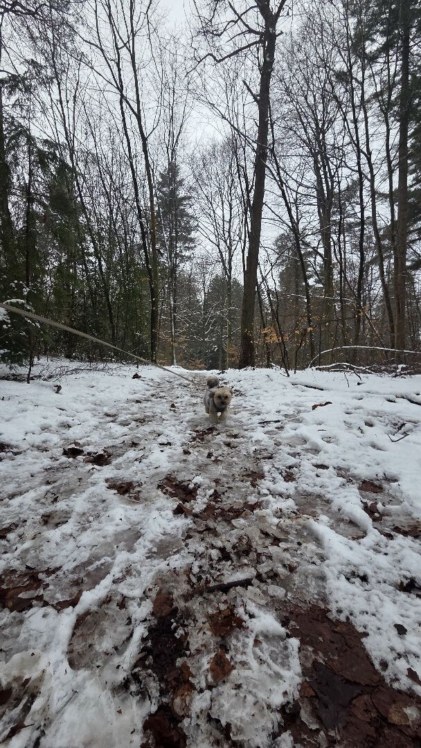Wandelroute Hunebedden Emmerdennen