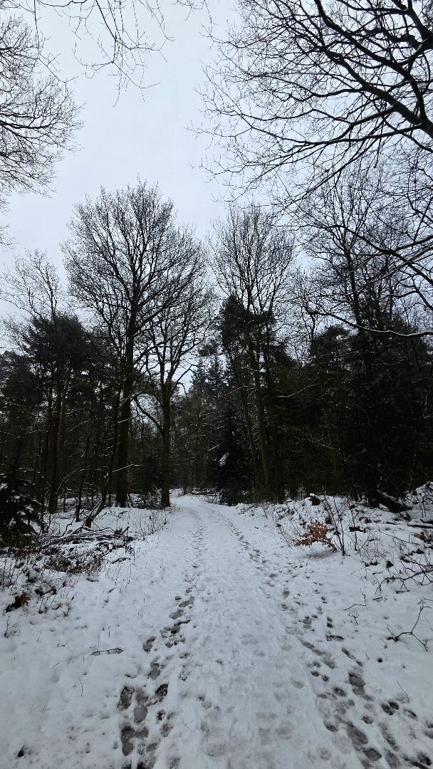 Wandelroute Hunebedden Emmerdennen