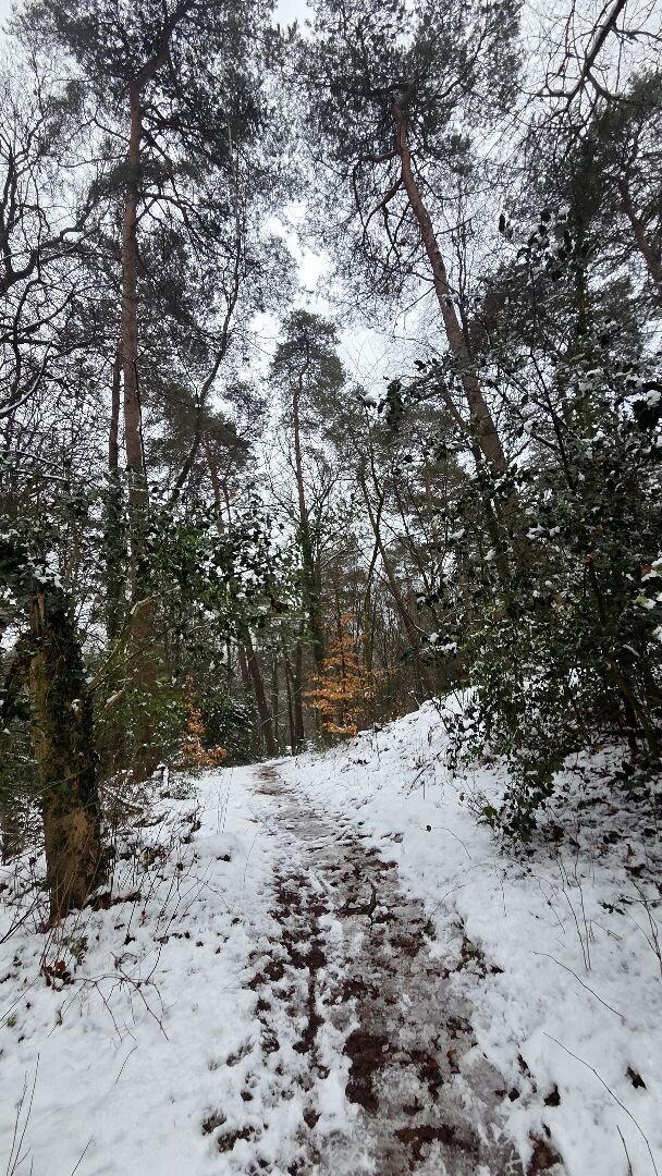 Wandelroute Hunebedden Emmerdennen