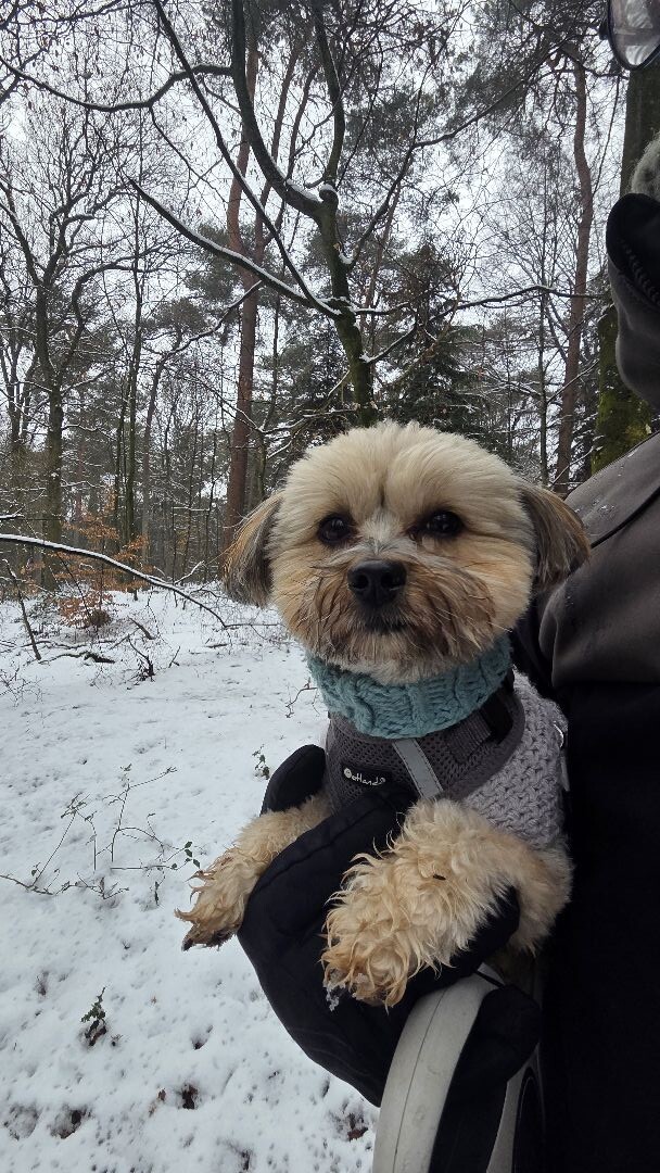 Wandelroute Hunebedden Emmerdennen