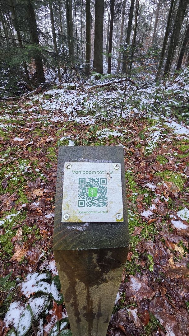 Wandelroute Hunebedden Emmerdennen