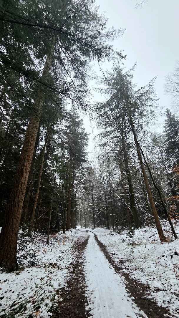 Wandelroute Hunebedden Emmerdennen