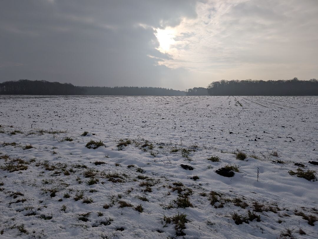 Winterwandeltocht Schutrups
