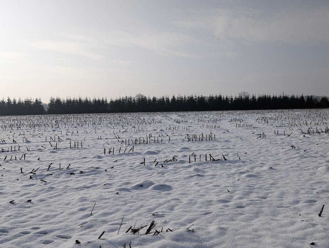 Winterwandeltocht Schutrups