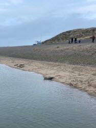 Den Haag naar Noordwijk aan Zee - "Royal Green" · NederRandpad etappe 65